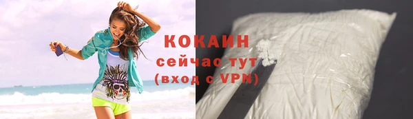 дживик Мегион