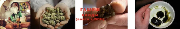 дживик Мегион