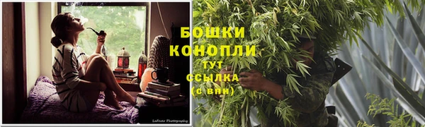 дживик Мегион