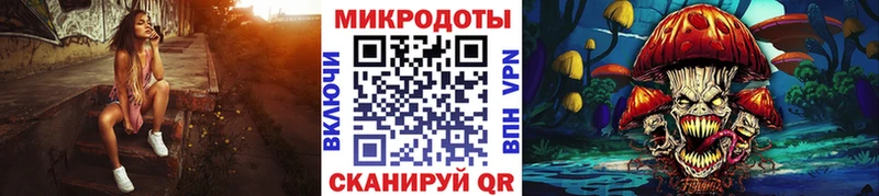 цена   Сочи  Галлюциногенные грибы Cubensis 