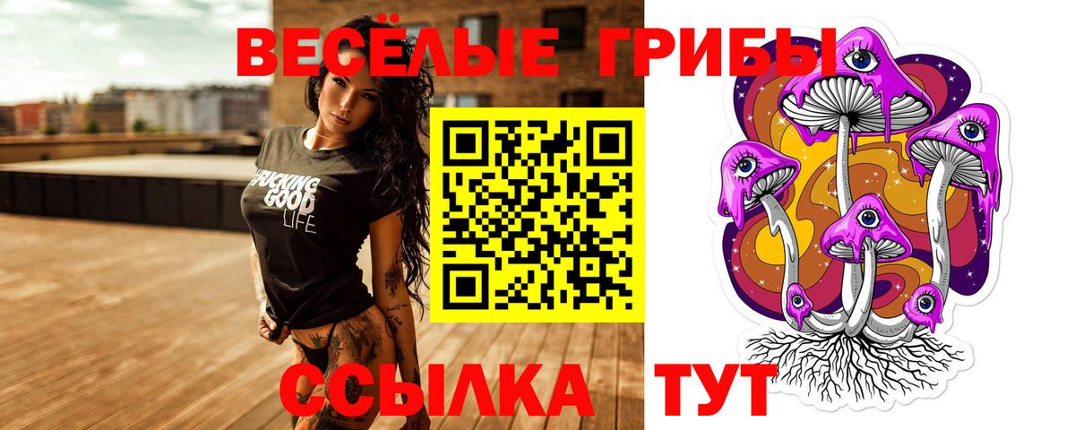 Псилоцибиновые грибы Magic Shrooms Сочи