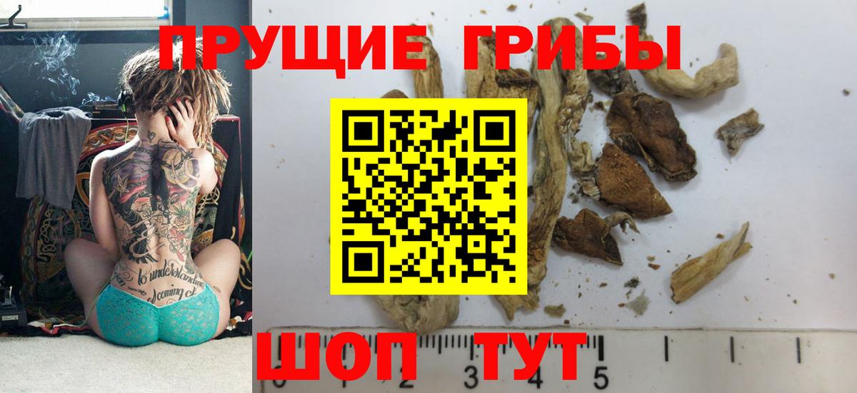 Галлюциногенные грибы прущие грибы  Вход с VPN  Сочи 